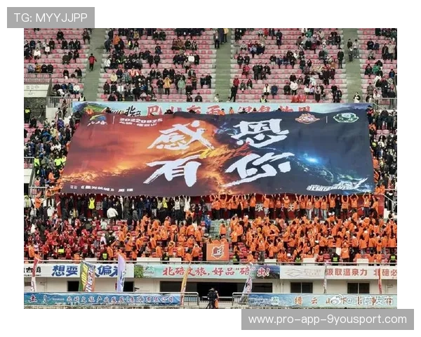 球队支持：最热情的粉丝集体行为盘点，足球粉丝群